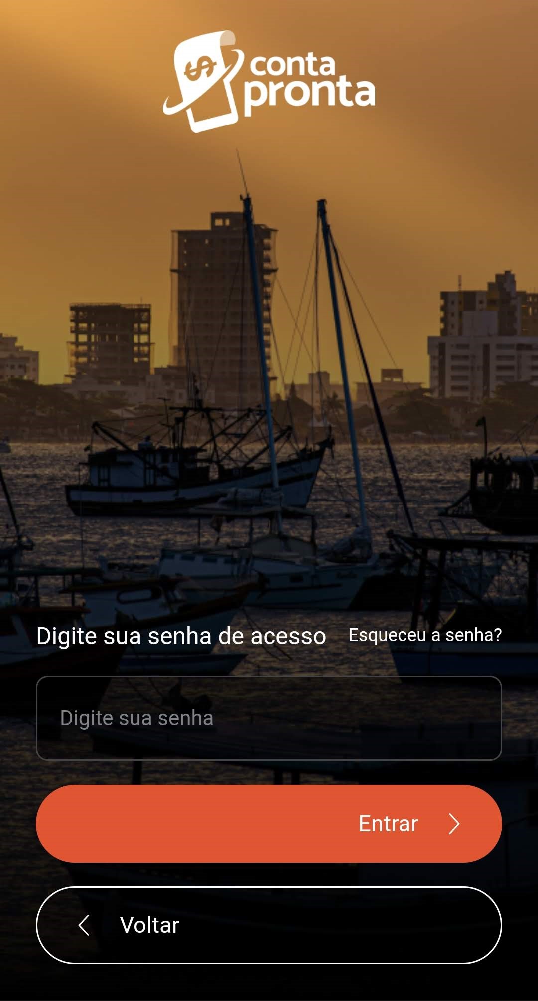 1.2 -Tela login persistente_senha.jpg