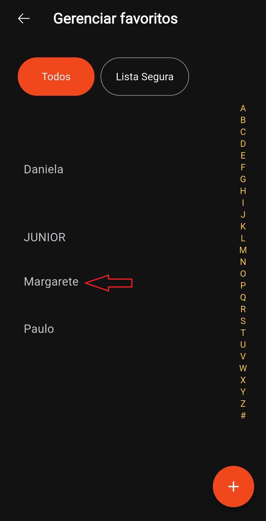Tela 2 - Lista de favoritos - Marcado.jpg